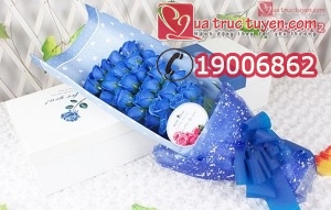 Hoa-hong-xanh-21-bong-gift-set