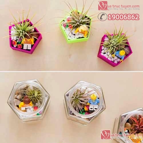 Làm lọ đựng cây cảnh nhỏ xinh cho không gian sinh động Làm đồ trang trí