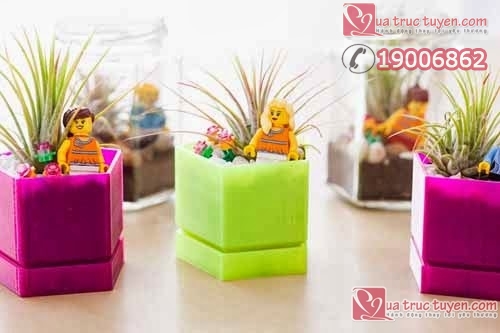 Làm lọ đựng cây cảnh nhỏ xinh cho không gian sinh động Làm đồ trang trí