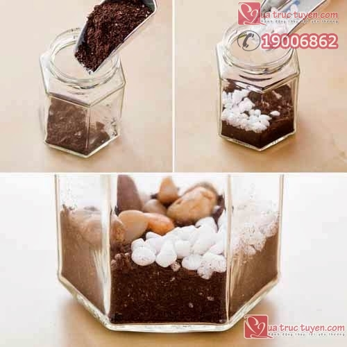 Làm lọ đựng cây cảnh nhỏ xinh cho không gian sinh động Làm đồ trang trí