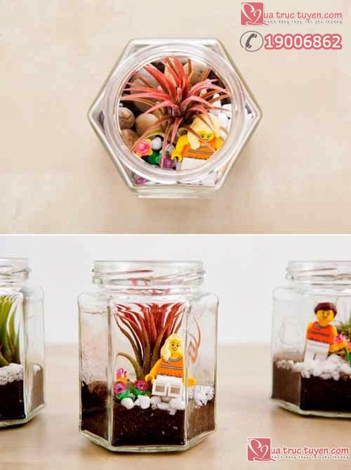 Làm lọ đựng cây cảnh nhỏ xinh cho không gian sinh động Làm đồ trang trí
