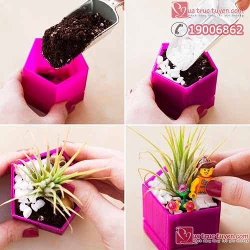 Làm lọ đựng cây cảnh nhỏ xinh cho không gian sinh động Làm đồ trang trí