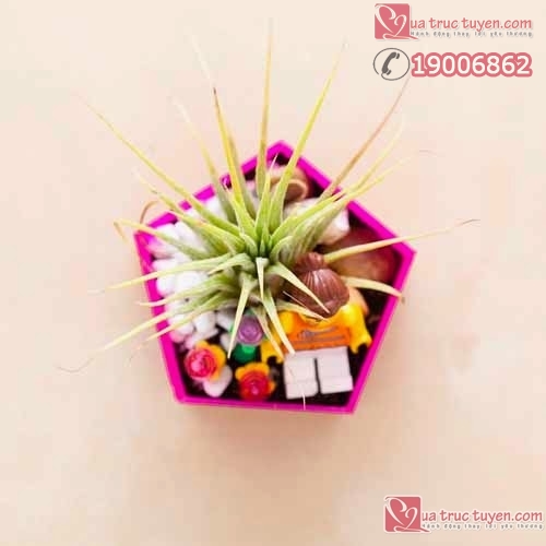 Làm lọ đựng cây cảnh nhỏ xinh cho không gian sinh động Làm đồ trang trí