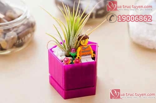 Làm lọ đựng cây cảnh nhỏ xinh cho không gian sinh động Làm đồ trang trí