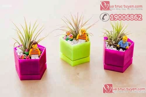 Làm lọ đựng cây cảnh nhỏ xinh cho không gian sinh động Làm đồ trang trí