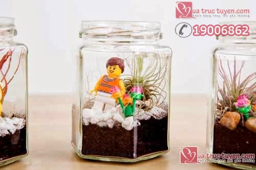 Làm lọ đựng cây cảnh nhỏ xinh cho không gian sinh động Làm đồ trang trí