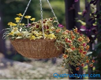 Blog.quatructuyen.com