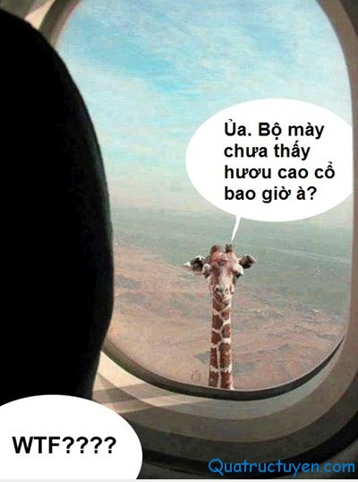 Blog.quatructuyen.com