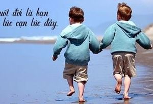 11 Câu chuyện về tình bạn hay và ý nghĩa