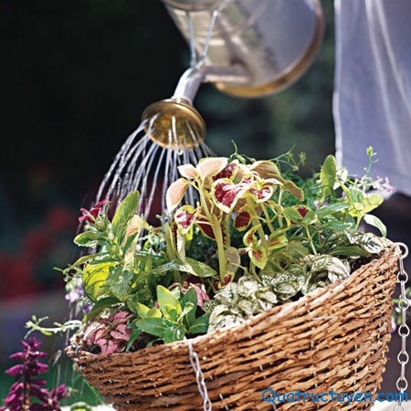 Blog.quatructuyen.com